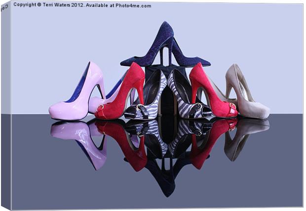 A Pyramid of Shoes Canvas Print by Terri Waters