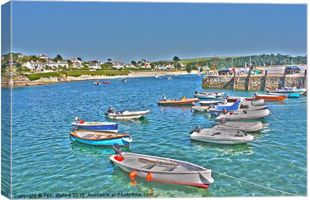 St Mawes in the Sunshine Canvas Print by Terri Waters