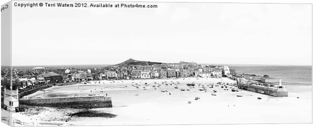 St Ives in black & white Canvas Print by Terri Waters
