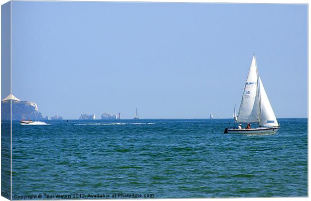 Yachting Round The Needles Canvas Print by Terri Waters