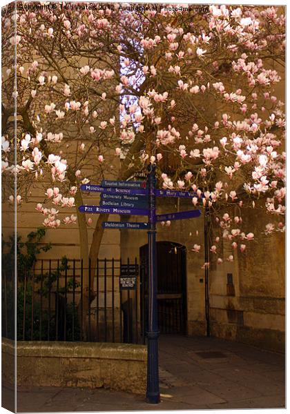 What To Do In Oxford Canvas Print by Terri Waters