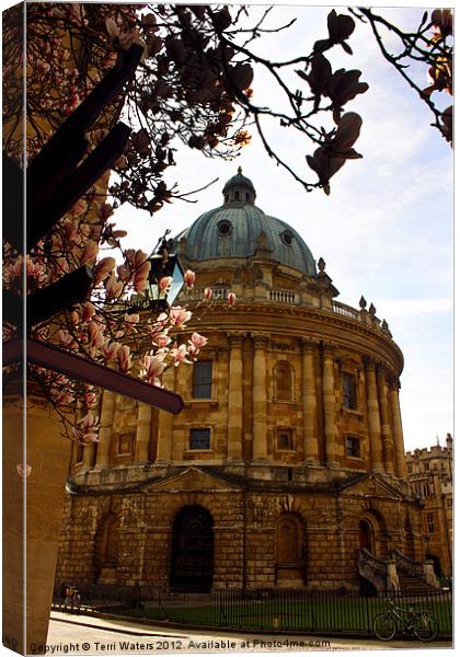 Radcliffe Camera Reading Rooms Oxford Canvas Print by Terri Waters