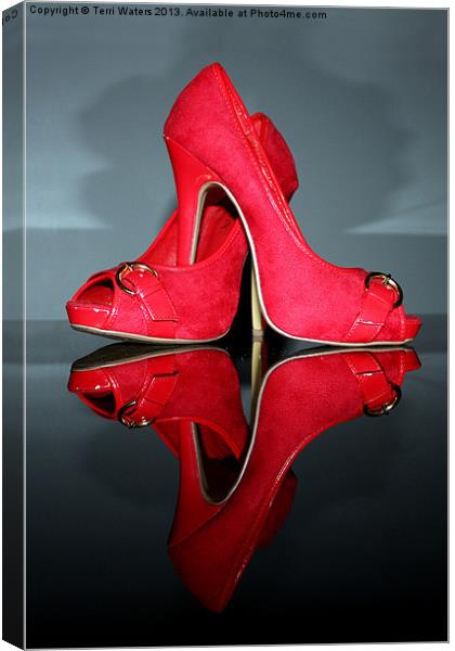 Red stiletto high heeled Shoes Canvas Print by Terri Waters