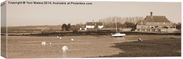 Bosham Harbour And South Downs In Sepia Canvas Print by Terri Waters