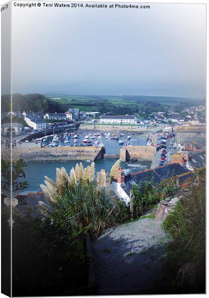 Porthleven Harbour Cornwall Canvas Print by Terri Waters