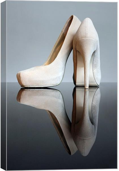 Champagne Stiletto Shoes Canvas Print by Terri Waters