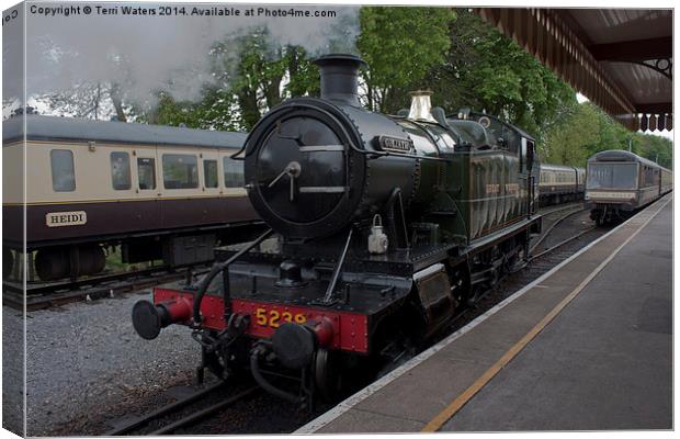 Goliath and Heidi at Paignton Canvas Print by Terri Waters