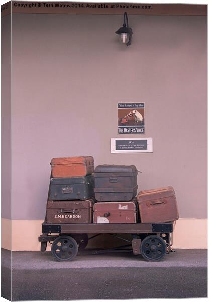 His Masters Luggage Canvas Print by Terri Waters