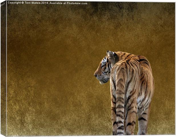  Amur Tiger Canvas Print by Terri Waters