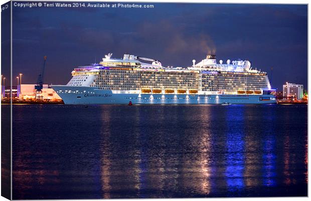  Quantum of the Seas at Night Canvas Print by Terri Waters