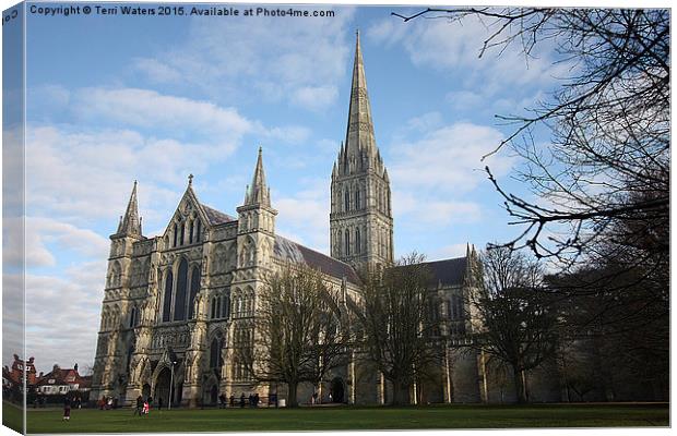 Salisbury Cathedral Canvas Print by Terri Waters