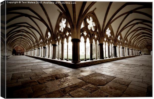  Salisbury Cathedral Cloisters Canvas Print by Terri Waters