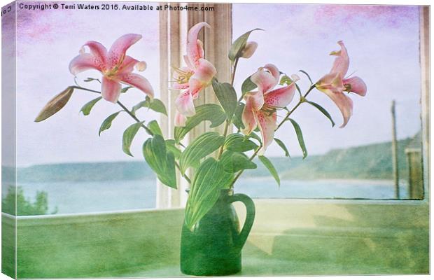 Seaside Lilies  Canvas Print by Terri Waters