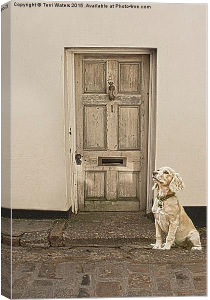 Waiting Patiently Canvas Print by Terri Waters