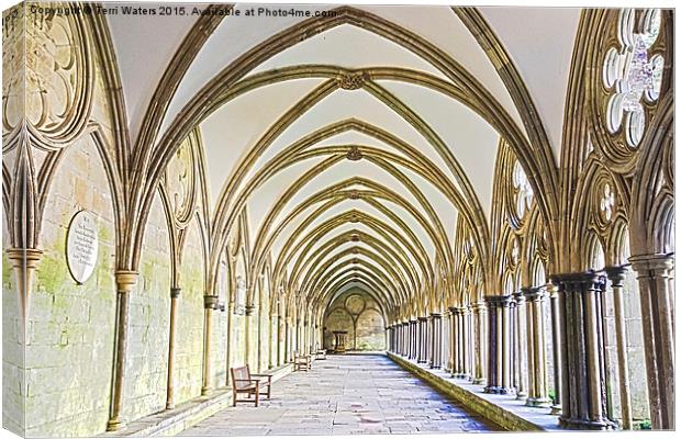 Salisbury Cathedral Cloister HDR Canvas Print by Terri Waters
