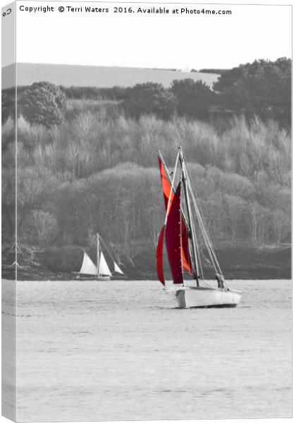 Isolated Yacht Carrick Roads Canvas Print by Terri Waters