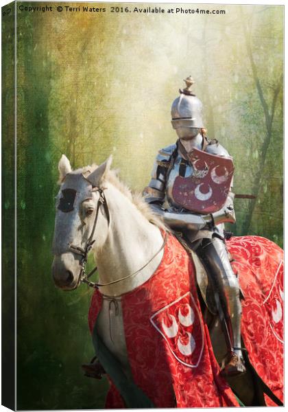 Red Knight Canvas Print by Terri Waters