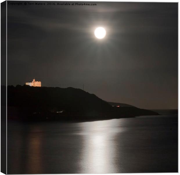Pendennis Castle at Night Canvas Print by Terri Waters