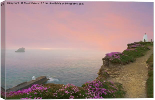 Thrift Flowers Portreath Cornwall Canvas Print by Terri Waters