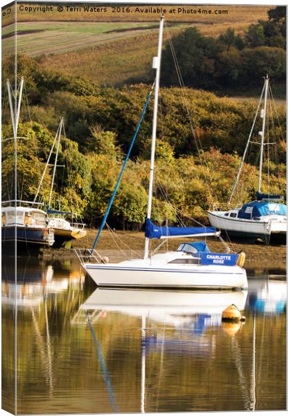 Charlotte Rose Mylor Canvas Print by Terri Waters