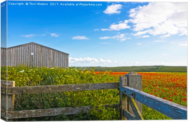 A West Pentire Farm Canvas Print by Terri Waters