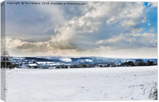 The Day It Snowed In Cornwall Canvas Print by Terri Waters
