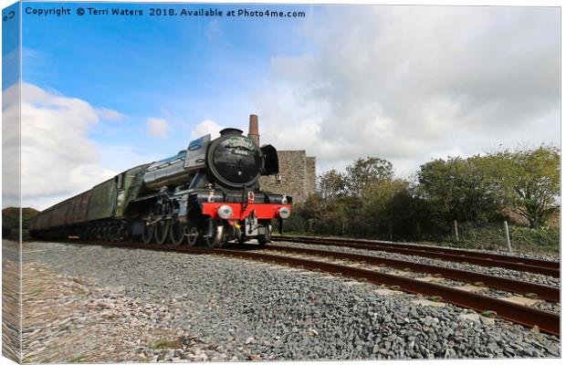 The Flying Scotsman in Cornwall Canvas Print by Terri Waters