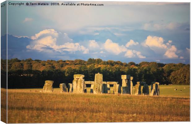 Stonehenge in Autumn Canvas Print by Terri Waters
