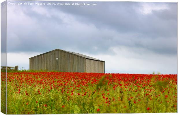 Red Poppies and a Barn Canvas Print by Terri Waters