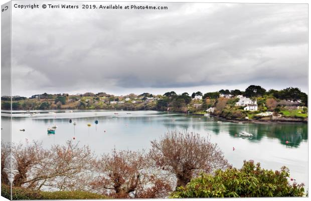 Restronguet Creek in Winter Canvas Print by Terri Waters