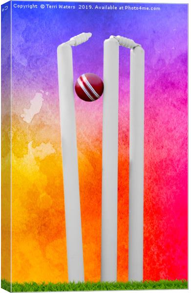 Colourful Cricket Stumps Canvas Print by Terri Waters
