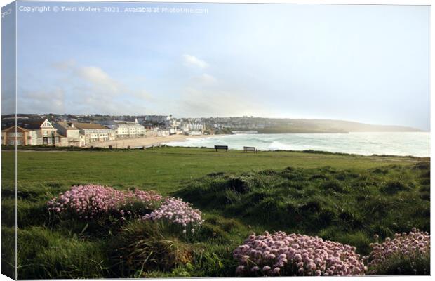 Porthmeor Thrift Canvas Print by Terri Waters