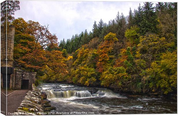 Dundaff Linn in Autumn Canvas Print by Alasdair Preston