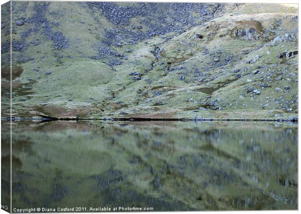 Reflections, Levers Water, The Lakes Canvas Print by DEE- Diana Cosford
