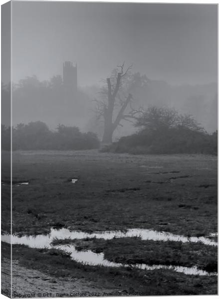 Freston Folly Mystique  Canvas Print by DEE- Diana Cosford