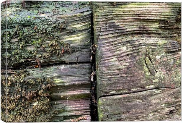 Timber Times 27                        Canvas Print by DEE- Diana Cosford
