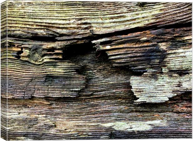 Timber Times 35                         Canvas Print by DEE- Diana Cosford