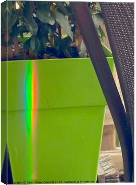 Natural Prism Rainbow refracted on planter. Canvas Print by DEE- Diana Cosford