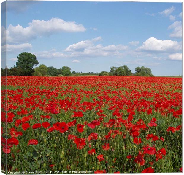 Poppy Field, Northamptonshire, England Canvas Print by DEE- Diana Cosford