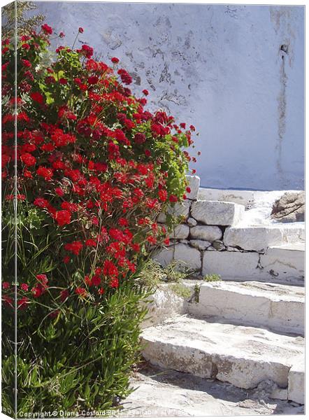 Kastro walk, Milos Canvas Print by DEE- Diana Cosford