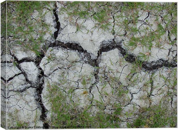 Parched earth, Bedfordshire walk. Canvas Print by DEE- Diana Cosford