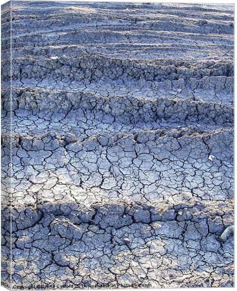 Parched ground Canvas Print by DEE- Diana Cosford