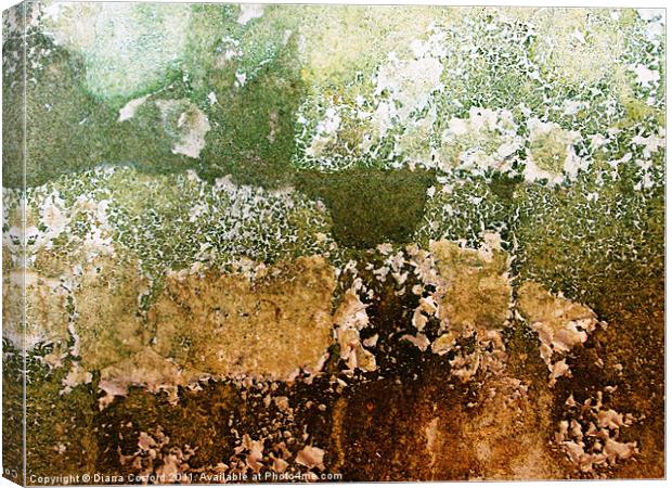 Textures of a living wall Canvas Print by DEE- Diana Cosford