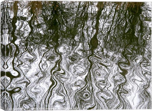 Oily waters Canvas Print by DEE- Diana Cosford