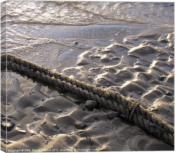 Rope across wet rivulets of sand. Canvas Print by DEE- Diana Cosford