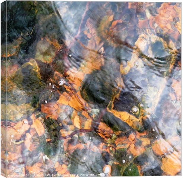 Warmth of water Canvas Print by DEE- Diana Cosford
