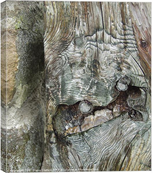 Gnarled tree bark Canvas Print by DEE- Diana Cosford