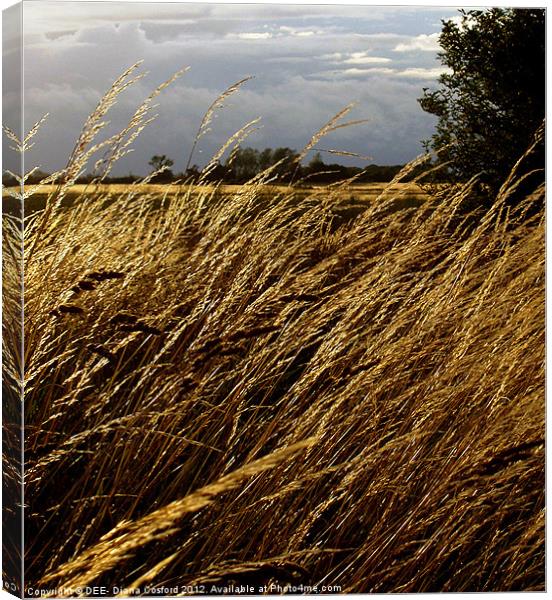 Windswept grasses Cranfield Airport Canvas Print by DEE- Diana Cosford