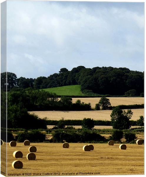 Hay Bales Bedfordshire 2 Canvas Print by DEE- Diana Cosford