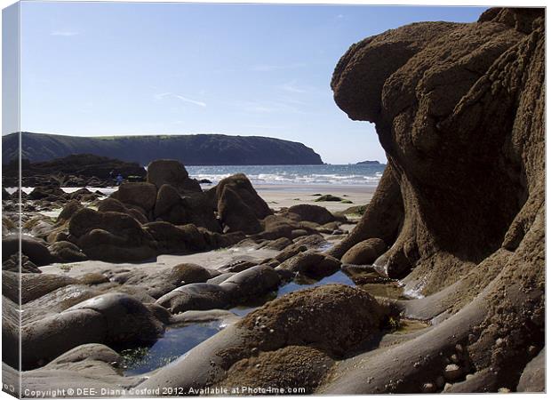 Little Haven, Pembrokeshire Canvas Print by DEE- Diana Cosford